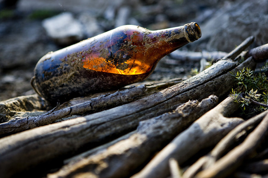 bottle on driftwood